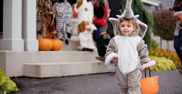 Un bambin déguisé en éléphant pour l’Halloween avec un groupe d'enfants qui font la tournée avant la tombée de la nuit.