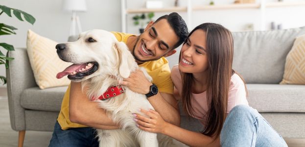 Un couple est assis par terre dans leur nouveau condo et caresse leur chien.