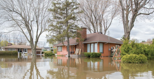 L’eau de crue entoure plusieurs maisons de plain pied, inondant les cours et reflétant les bâtiments et les arbres. 