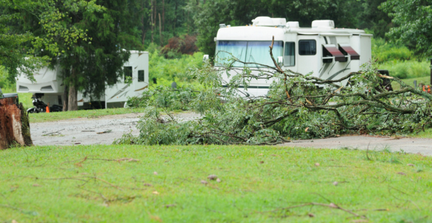 Deux VR sont garés dans un terrain de camping. De nombreuses branches sont éparpillées sur le sol, montrant les séquelles d’une tempête. Il y a de nombreux arbres en arrière-plan. 