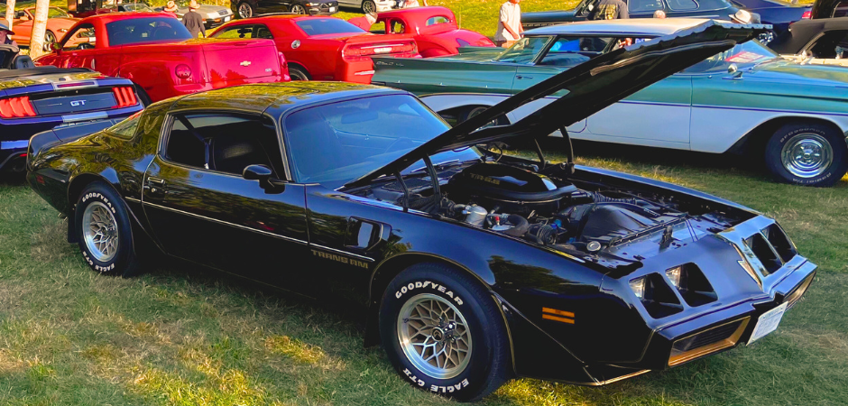 Une Pontiac Firebird Trans Am noire, un muscle car, avec son capot ouvert, garée sur l’herbe lors d’un salon automobile en plein air.